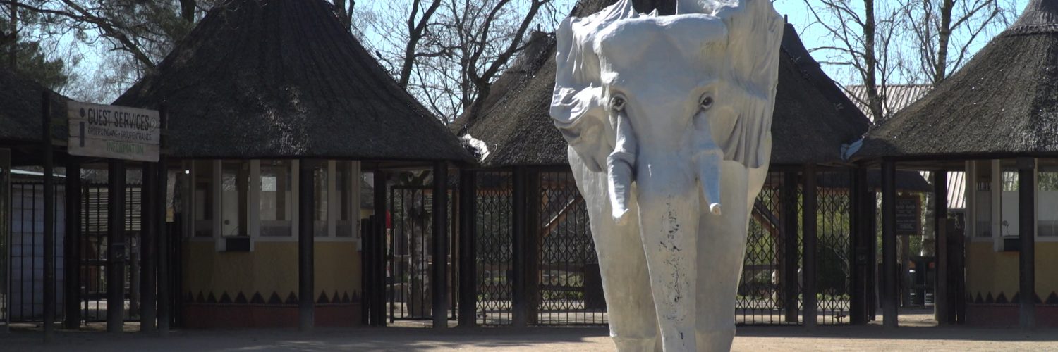 De politie heeft een man van 25 uit Eemnes aangehouden op verdenking van brandstichting bij Safaripark Beekse Bergen.