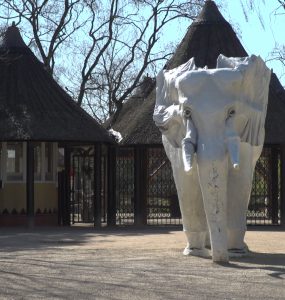 De politie heeft een man van 25 uit Eemnes aangehouden op verdenking van brandstichting bij Safaripark Beekse Bergen.