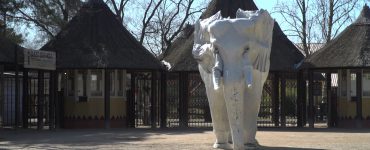 De politie heeft een man van 25 uit Eemnes aangehouden op verdenking van brandstichting bij Safaripark Beekse Bergen.