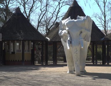 De politie heeft een man van 25 uit Eemnes aangehouden op verdenking van brandstichting bij Safaripark Beekse Bergen.