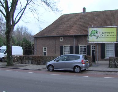 Door corona is het een enorm moeilijk jaar geweest voor Dierenpark de Oliemeulen. Tijdens de lockdown mogen er geen gasten ontvangen worden en komen er geen inkomsten meer binnen. Maar de dieren hebben ook nu voeding en verzorging nodig.