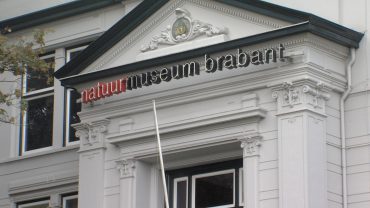 Het kabinet is aan het overwegen musea, theaters en bioscopen voor twee weken te sluiten. De Tilburgse cultuursector wacht dus voorlopig in spanning af.