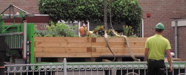 Met het pop-up park wil de gemeente de bewoners van de Jan Evertsenstraat alvast laten ervaren hoe het is om extra groen in de straat te hebben.