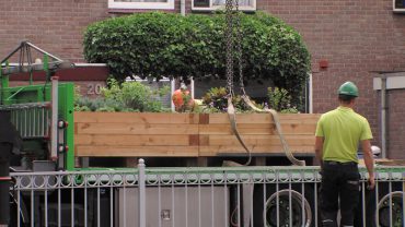 Met het pop-up park wil de gemeente de bewoners van de Jan Evertsenstraat alvast laten ervaren hoe het is om extra groen in de straat te hebben.
