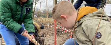 Leerlingen van sbo Westerwel in de Reeshof hebben zo’n 1000 bomen geplant aan het Biervlietplein. Deze bomen vormen samen een ‘tiny forest’, ofwel mini-bos.