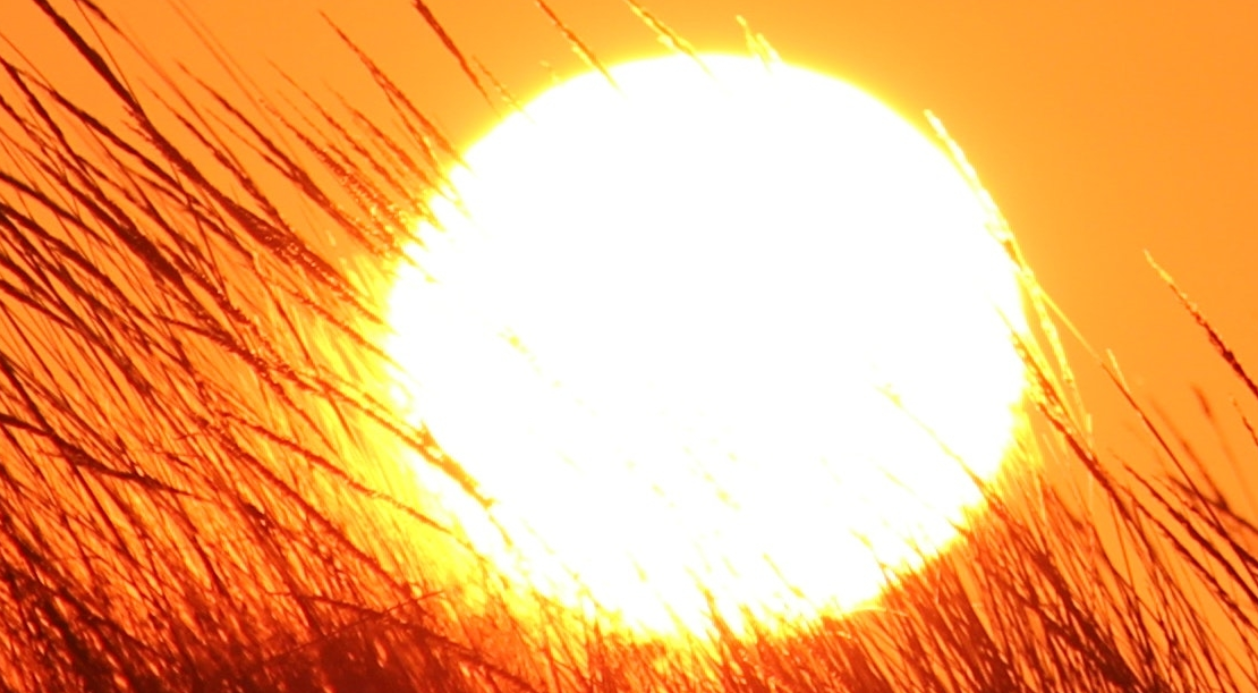 Extreme warmte: Code oranje en Nationaal Hitteplan in de regio