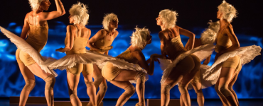 Swan Lakes is een grote productie in het kader van het Holland Dance Festival. Deze is behalve in Den Haag en Amsterdam alleen in Tilburg te zien - in Schouwburg Concertzaal Tilburg.