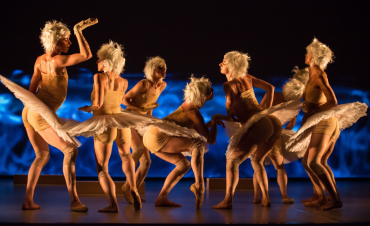Swan Lakes is een grote productie in het kader van het Holland Dance Festival. Deze is behalve in Den Haag en Amsterdam alleen in Tilburg te zien - in Schouwburg Concertzaal Tilburg.
