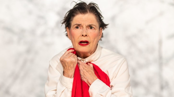 In het Tilburgse theater De Nieuwe Vorst speelt de voorstelling Oorlogsvrouwen die gaat over vrouwen die tijdens de Tweede Wereldoorlog dienden in het Sovjetleger.