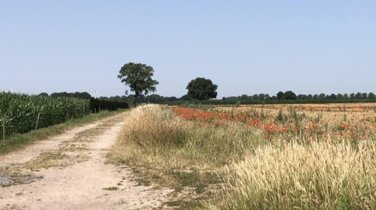 Het Pauwelspad, een nieuwe wandelroute ten noorden van Tilburg, wordt officieel geopend door wethouders Rik Grashoff Tilburg) en Louis Laros (Loon op Zand).