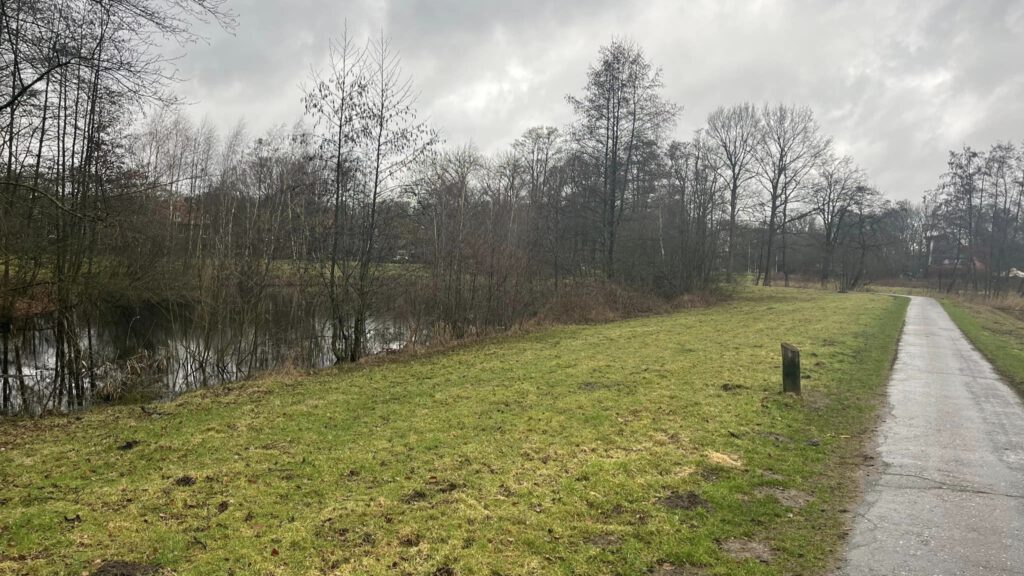 De dode vissen werden in de vijver van het Leijpark gevonden.