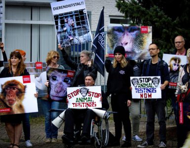 Protestanten strijden tegen dierenleed van de apen bij handelaar Hartelust.