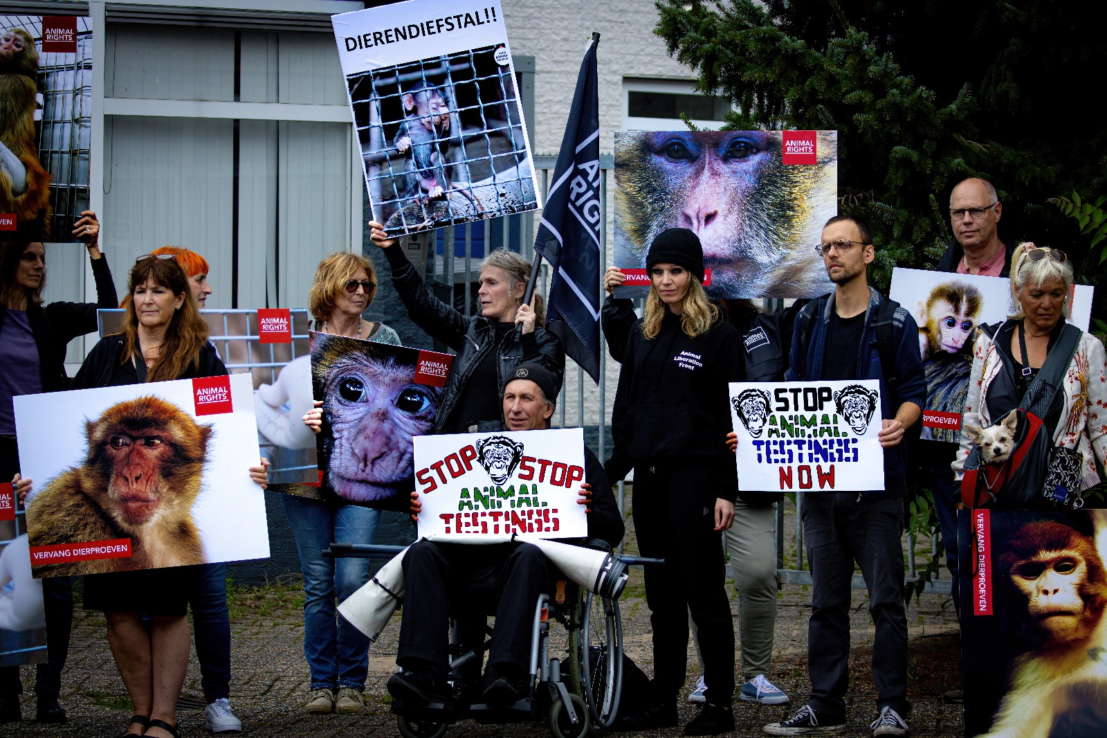 Tilburgse raad verdeeld over apenfokkerij voor proefdieren: stemming eindigt in gelijkspel