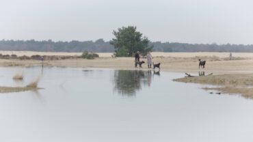 De Brabantse Sahara