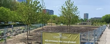 De huidige status van het gras in het Spoorpark