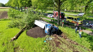 Vrachtwagen tegen boom