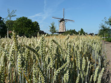 Kerkhovense Molen