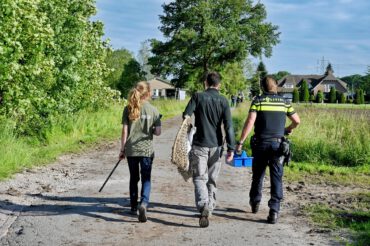 Beekse Bergen en baasjes op zoek naar serval