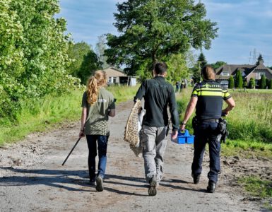 Beekse Bergen en baasjes op zoek naar serval