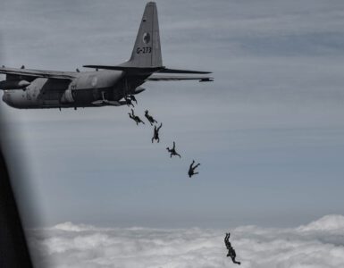 falcon leap