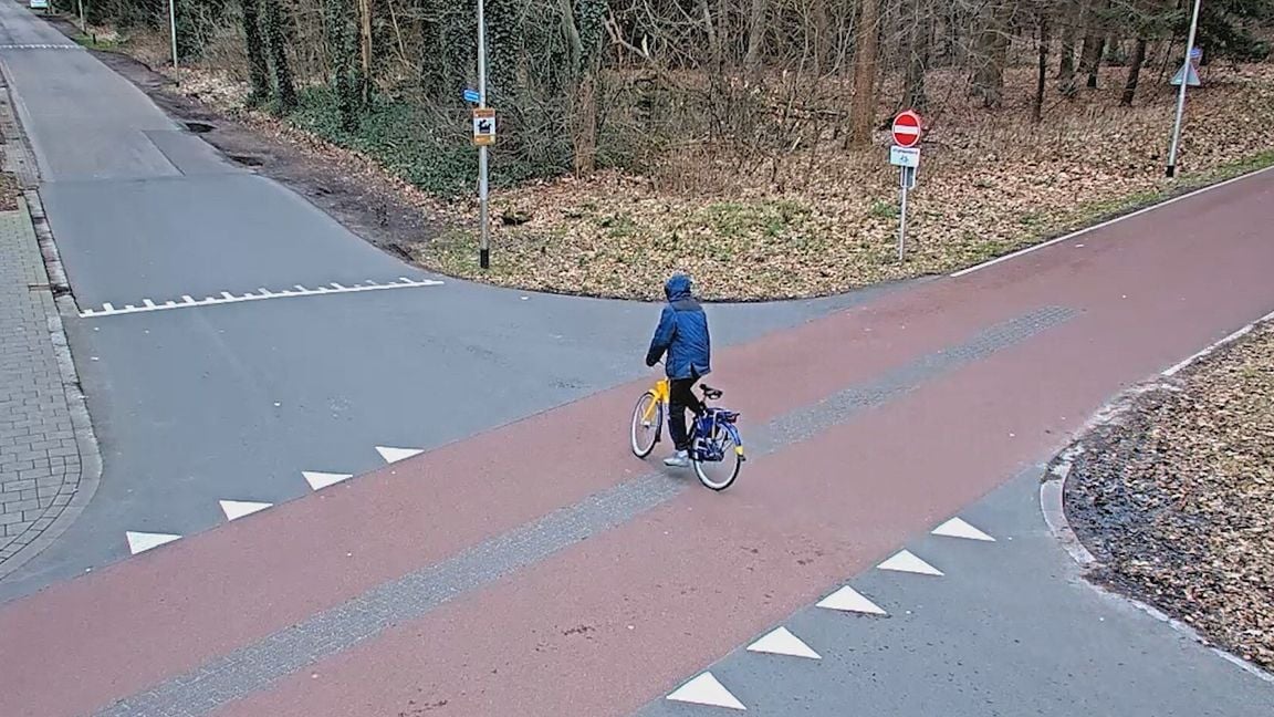 Man (67) bij uitlaten van zijn honden mishandeld: kaak gebroken