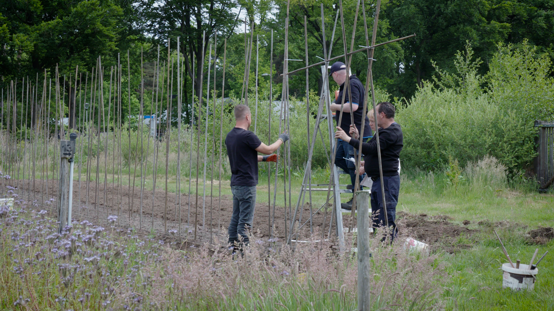 10-jarig jubileum van GroeiTuin013: ‘Dit moet nooit meer weggaan’