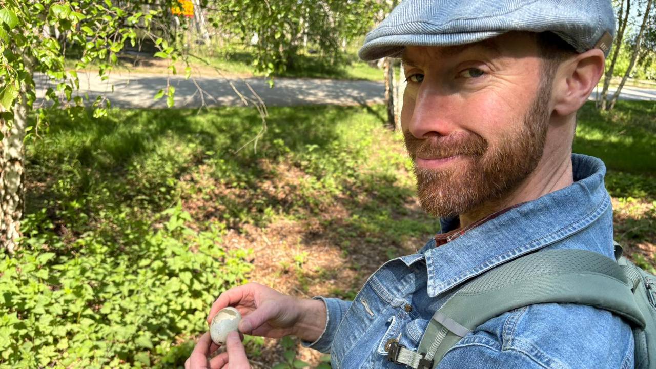 Stadsecoloog Rob ziet opmars van wilde dieren in de stad